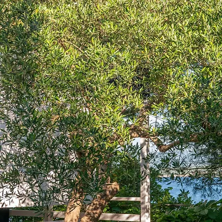 Mobile Homes Kristina Ferienhaus